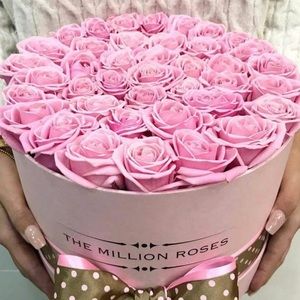 Meet your Posher, Kat